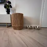 Studio Lage Rijndijk